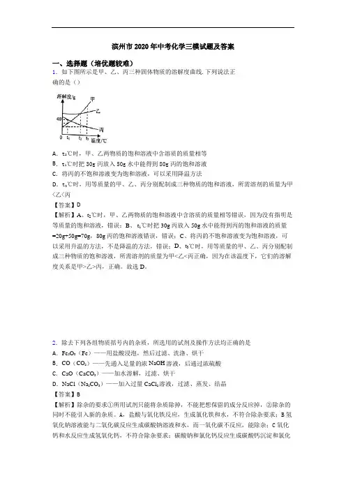 滨州市2020年中考化学三模试题及答案