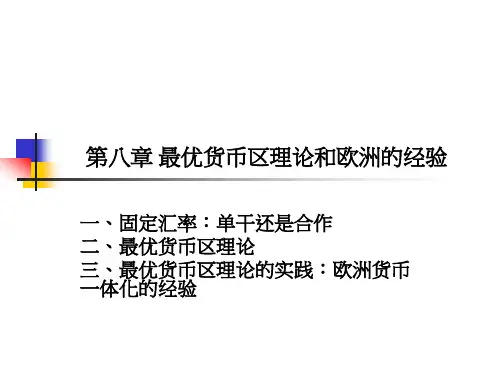 第八章 最优货币区理论和欧洲的经验2