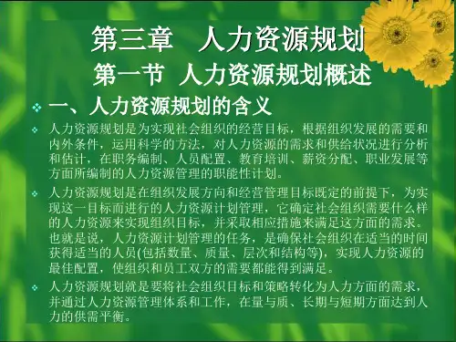 人力资源管理概论 第03章