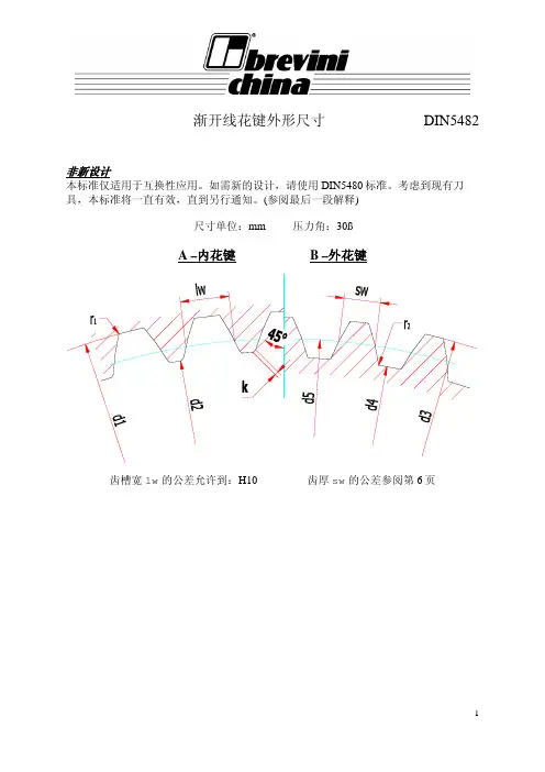 DIN 5482 渐开线花键 中文版