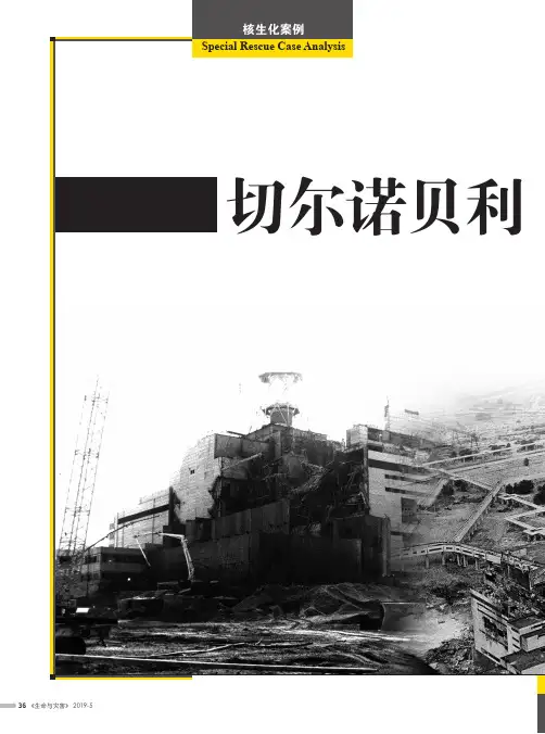 切尔诺贝利核电站事故