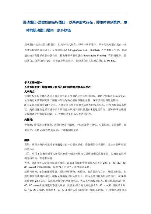 肌动蛋白-是微丝的结构蛋白,以两种形式存在,即单体和多聚体