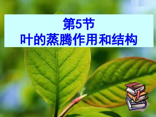 3.5叶的蒸腾作用和结构