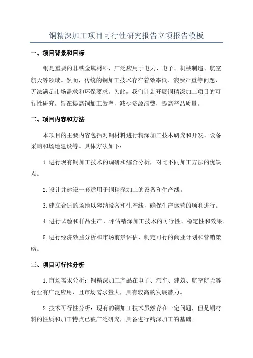 铜精深加工项目可行性研究报告立项报告模板