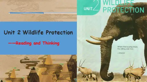 Unit 2 Period 2 Wildlife Protection高中英语(人教版必修第二册)