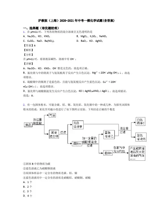 沪教版(上海)2020-2021年中考一模化学试题(含答案)