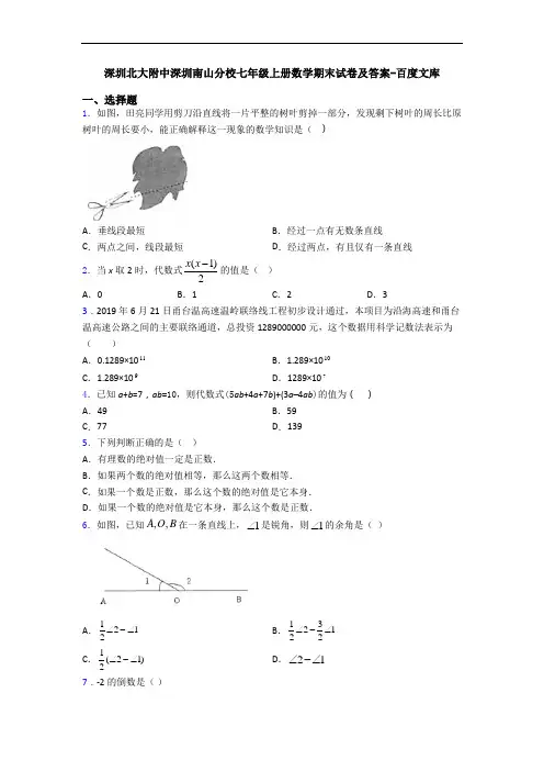 深圳北大附中深圳南山分校七年级上册数学期末试卷及答案-百度文库