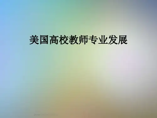 美国高校教师专业发展