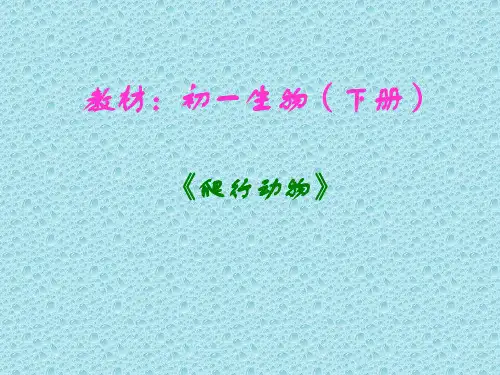 《爬行动物》ppt实用课件