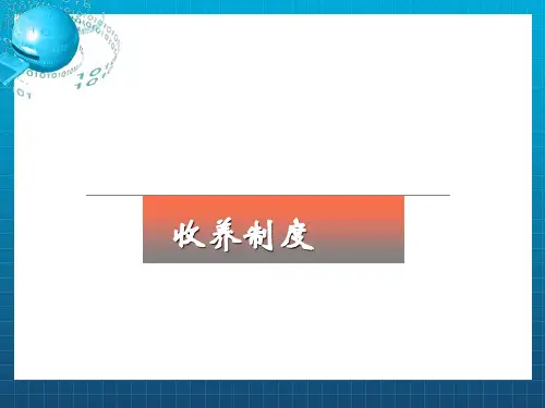 《收养制度》PPT课件