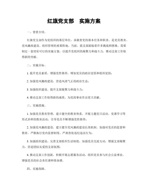 红旗党支部  实施方案