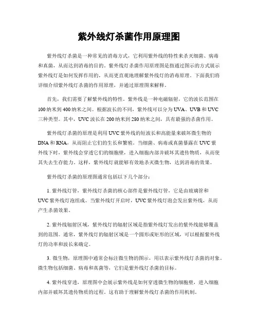 紫外线灯杀菌作用原理图