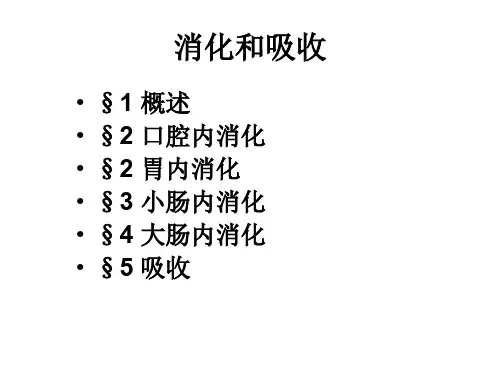 七年级生物消化和吸收9