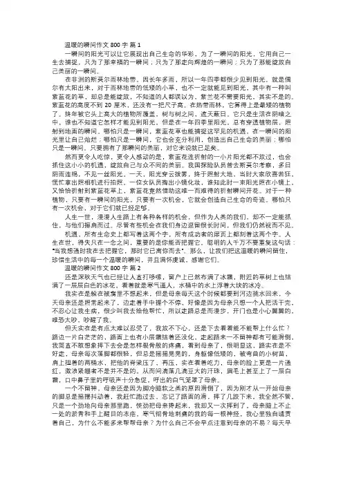 温暖的瞬间作文