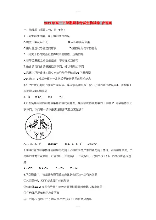 2019年高一下学期期末考试生物试卷 含答案