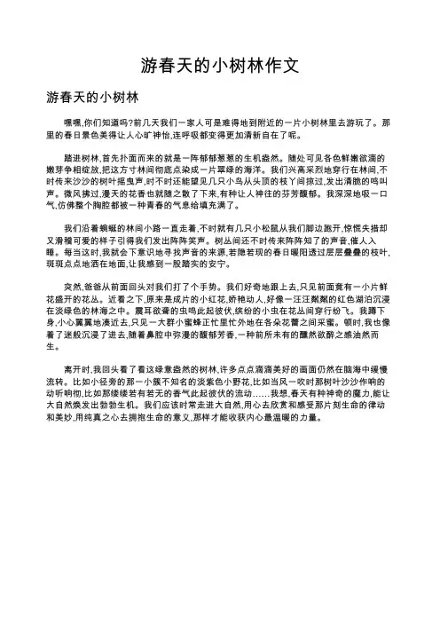 游春天的小树林作文