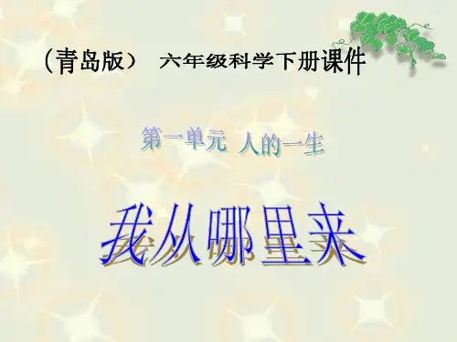 青岛版六年制三起六年级科学下册《1.2我从哪里来》课件