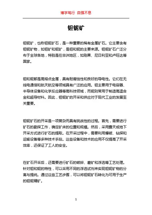 钽铌矿_精品文档