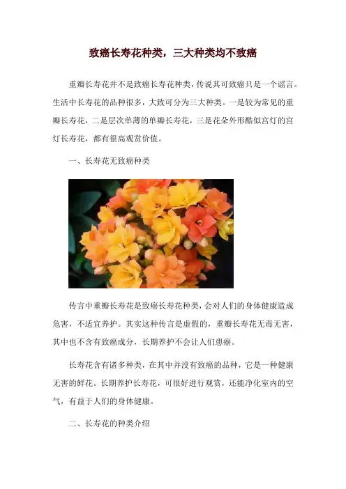 致癌长寿花种类,三大种类均不致癌