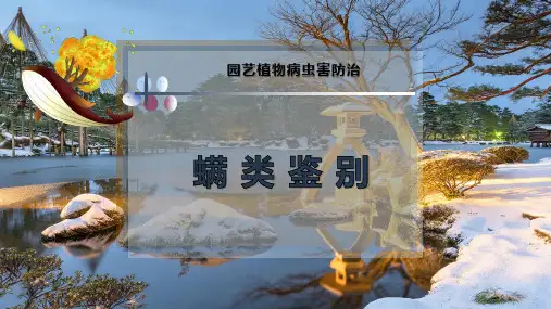 螨 类 鉴 别