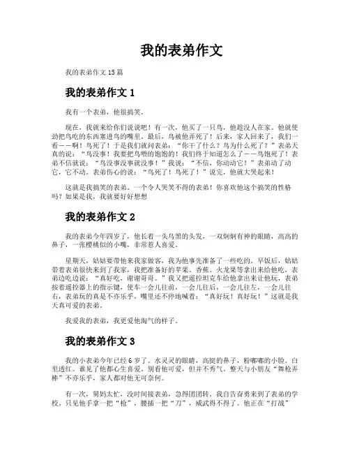 我的表弟作文