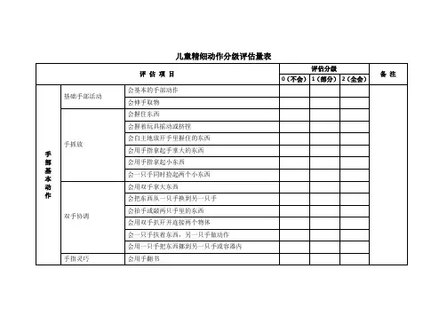 精细动作分级评估量表
