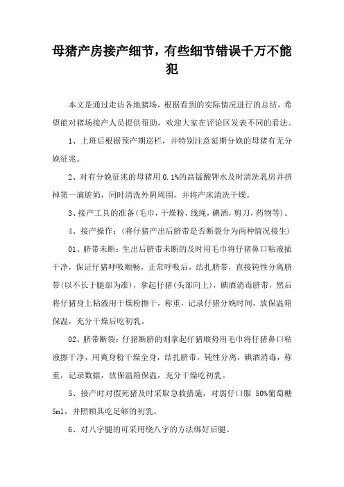 母猪产房接产细节，有些细节错误千万不能犯