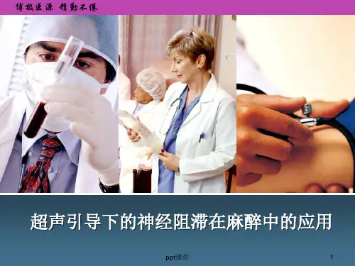 超声引导下的神经阻滞在麻醉中的应用  ppt课件