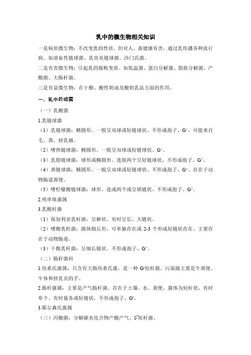 乳中的微生物相关知识(新)