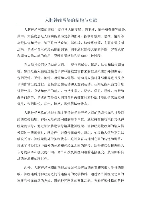 人脑神经网络的结构与功能