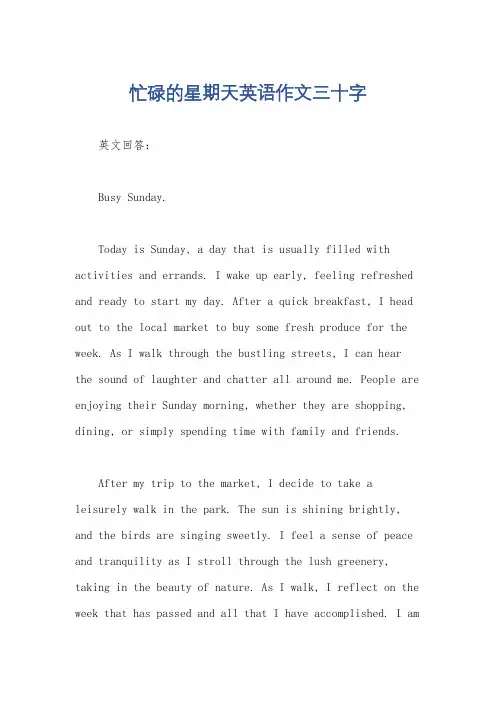 忙碌的星期天英语作文三十字