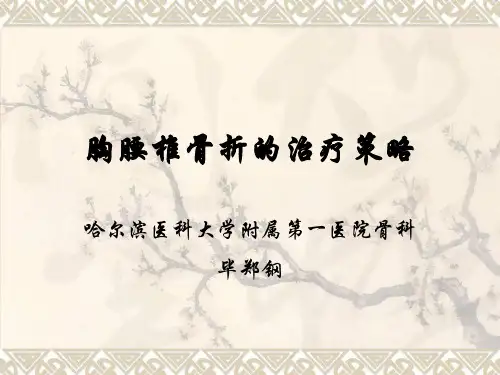 毕郑钢——胸腰椎骨折的治疗策略