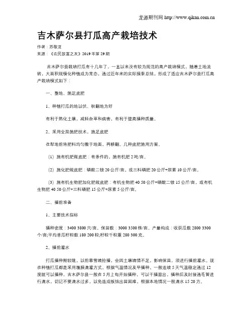 吉木萨尔县打瓜高产栽培技术