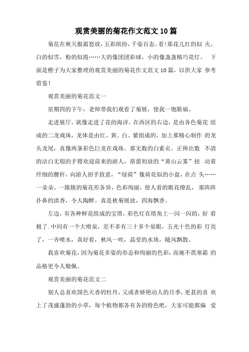 观赏美丽的菊花作文范文10篇