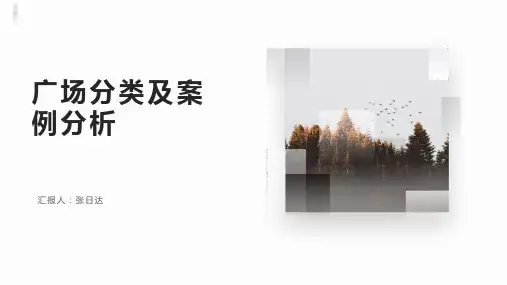 广场分类及案例分析