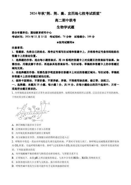 湖北省“荆、荆、襄、宜四地七校考试联盟”2024-2025学年高二上学期期中联考生物试卷(含答案)