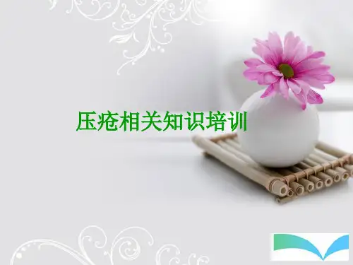 压疮小组-PPT课件