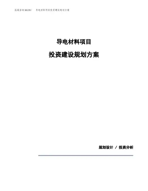 导电材料项目投资建设规划方案(模板)