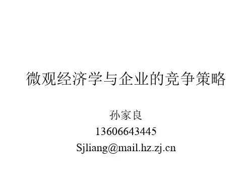 微观经济学与企业的竞争策略.pptx