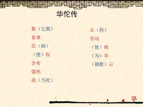 丹溪翁传ppt