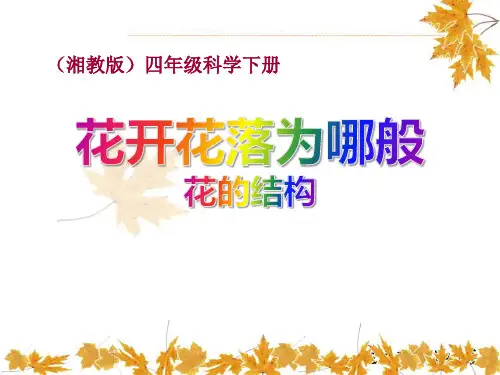 《花开花落为哪般》教学ppt课件(优选)
