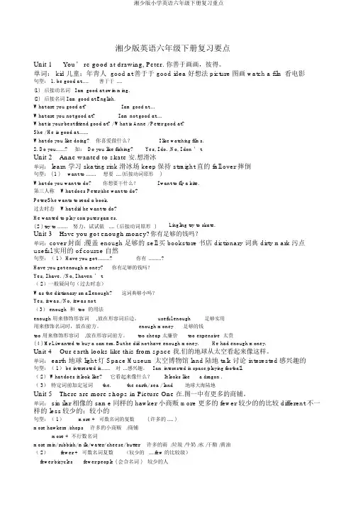 湘少版小学英语六年级下册复习重点
