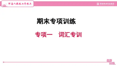 人教版七年级英语上册专项一 词汇专训