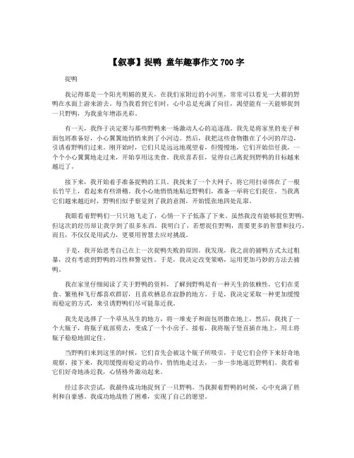 【叙事】捉鸭 童年趣事作文700字