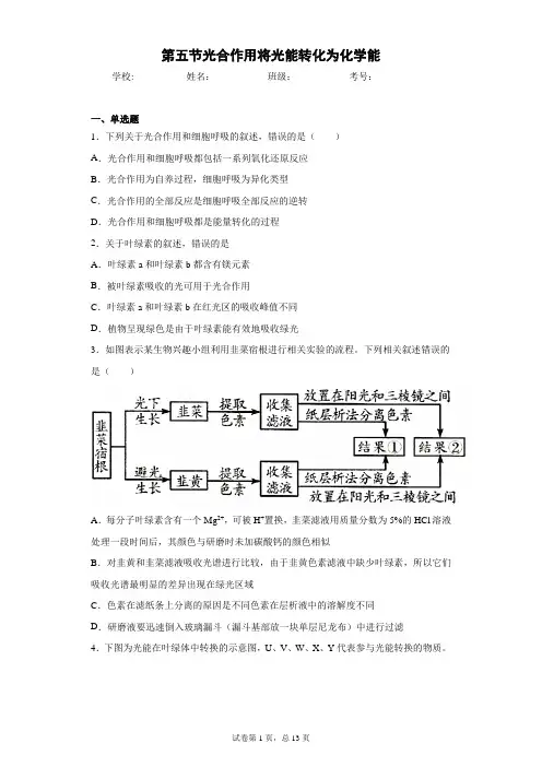 第五节光合作用将光能转化为化学能含答案解析