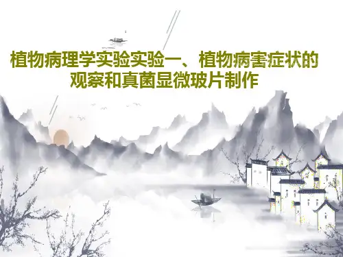 植物病理学实验实验一、植物病害症状的观察和真菌显微玻片制作43页PPT