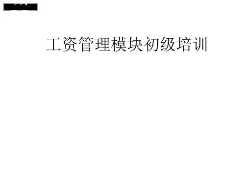 工资管理模块初级培训教程PPT课件