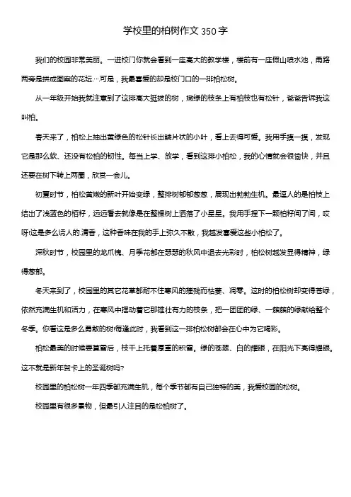 学校里的柏树作文350字
