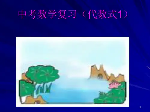 中考复习(代数式)PPT课件