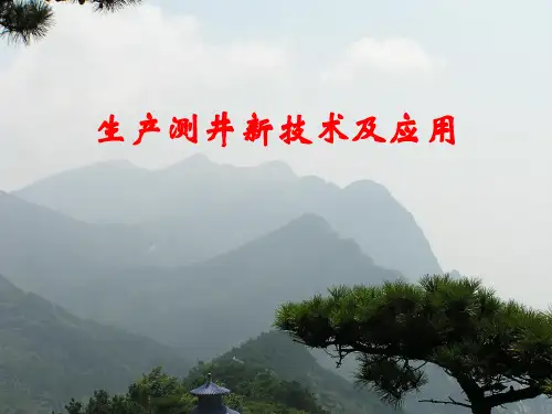 生产测井新技术及应用